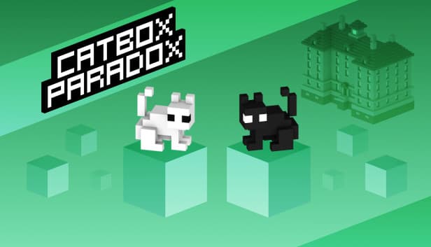 Cat Box Paradox