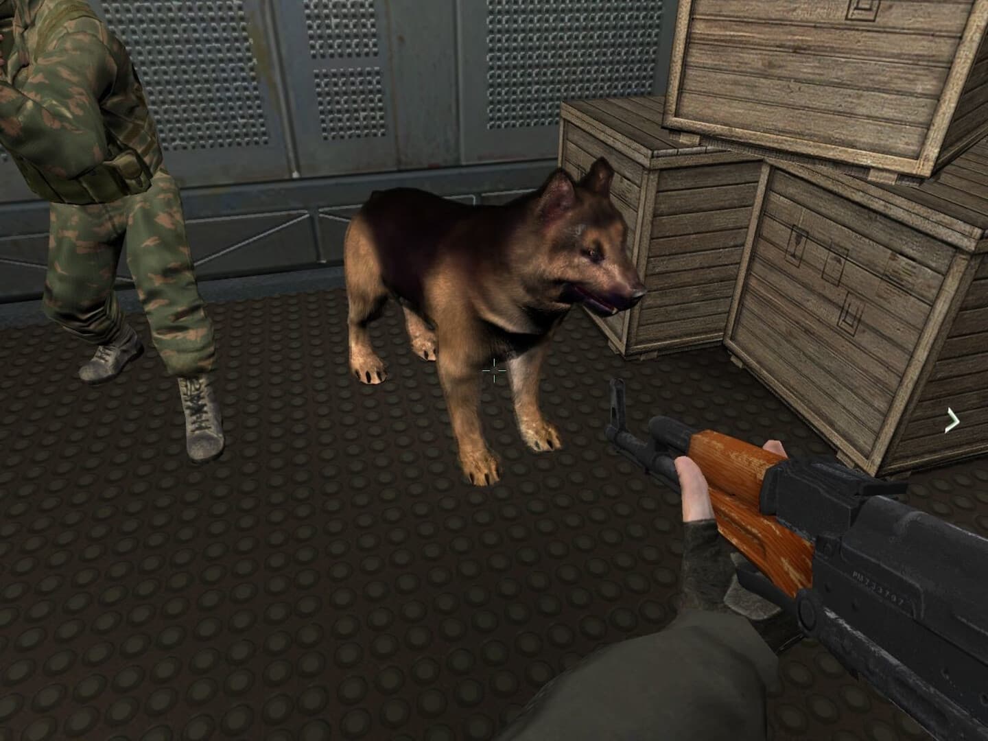 Gameplay