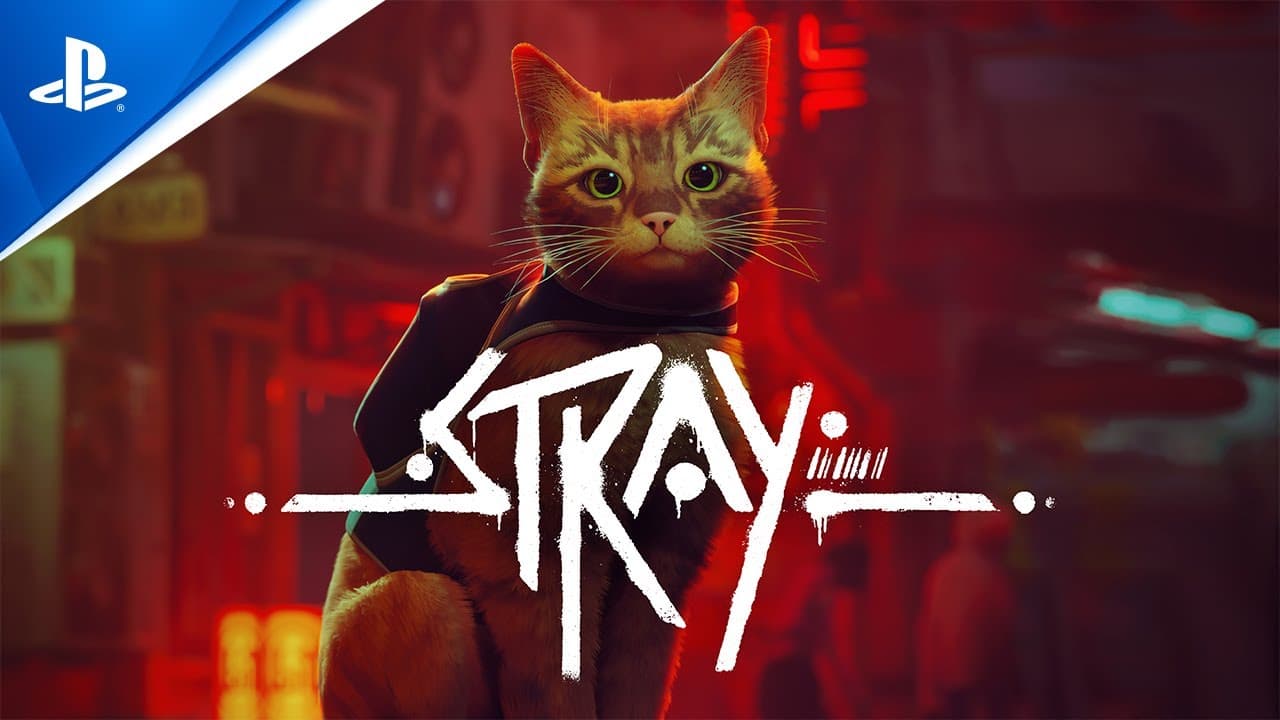 Stray - Launch Trailer | PS5 &amp; PS4 Games